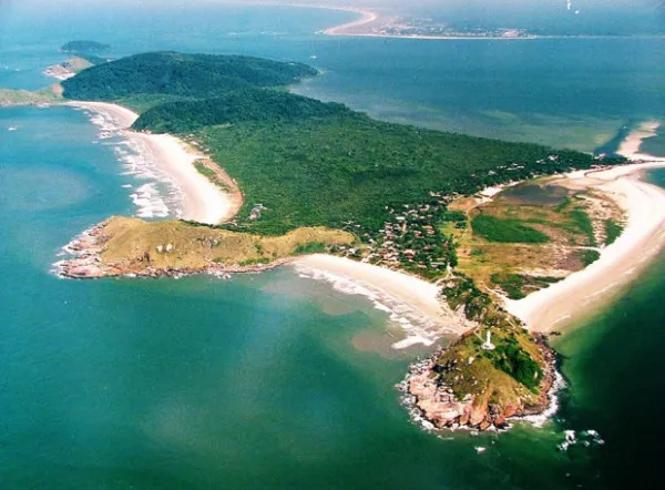 Coqueiros e céu de verão no litoral paranaense